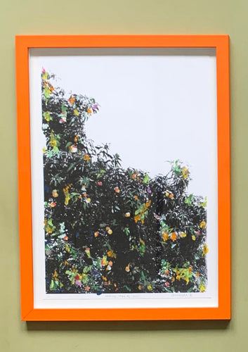 orange tree | framed